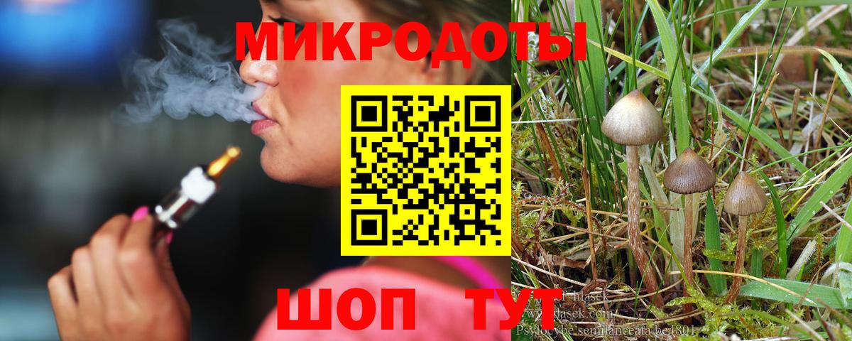 Псилоцибиновые грибы Cubensis  Вход с VPN  Галлюциногенные грибы GOLDEN TEACHER  Благовещенск 